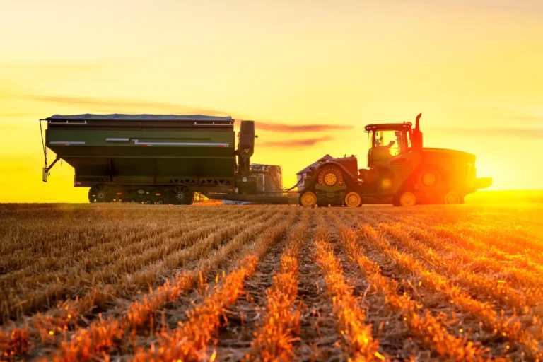 Banco do Brasil pode ser obrigado a prorrogar dívida rural por até 20 anos