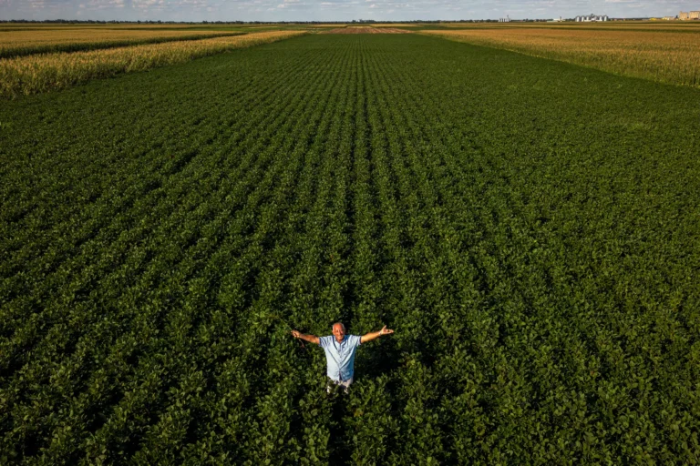 Como posso solicitar o alongamento de uma dívida rural?